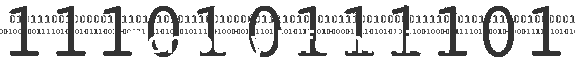 Company Information